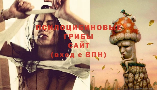 мескалин Елизово