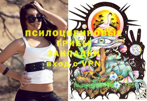 каннабис Ельня