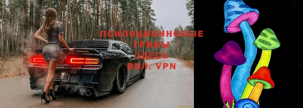каннабис Ельня